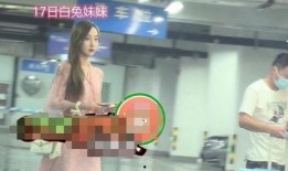 热聊爆料视频大全集在线观看,揭秘热门话题，畅享视听盛宴